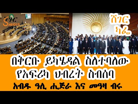 ቪዲዮ: የአፍሪካ ህብረት ለኦዲት ምን ይቆማል?