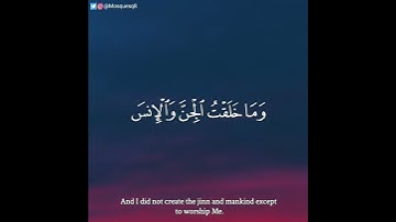 مشاري فالح - سورة الذاريات || وما خلقت الجن والإنس إلا ليعبدون