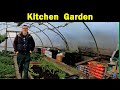 Kitchen Garden | Companion Planting | Geoff Hamilton | Green Side Up