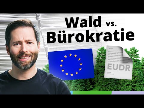 EU-Entwaldungsverordnung entschärft: Was Unternehmen jetzt wissen müssen