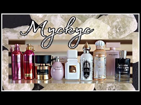 🎼 "ПО НОТАМ" 10 АРОМАТОВ С НОТОЙ МУСКУС