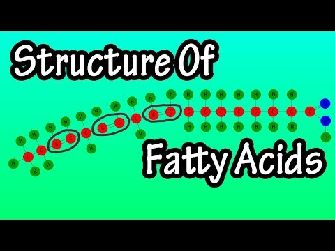 Fatty Acids - What Are Fatty Acids - Structure Of Fatty Acids - Types Of Fatty