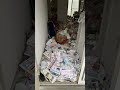 見てて気持ちいい～！ゴミ屋敷ビフォーアフター
