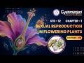 Biology | STD 12th | Ch 1 | Sexual Reproduction in Flowering Plants | Lec 8 | ENG | GCI | 17.02.2026