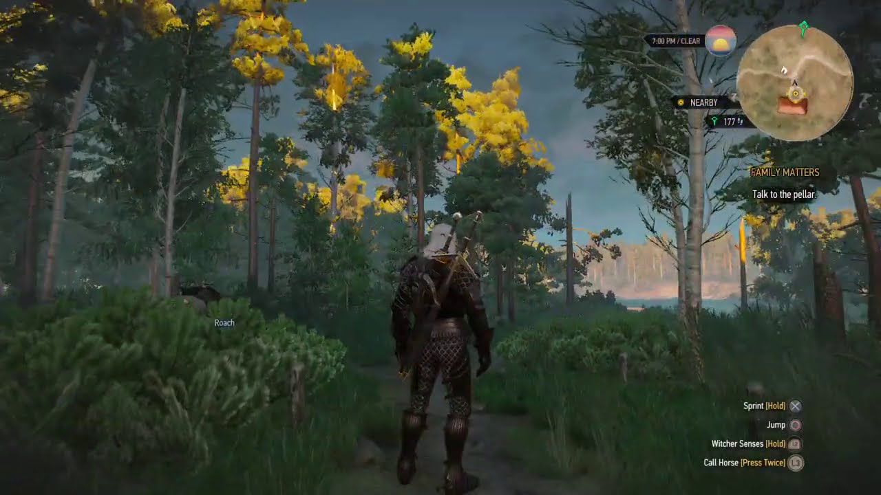 The Witcher 3: Winds Howling The Witcher 3: Winds Howling