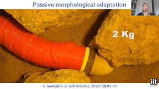 Bioinspired Soft Robotics and future vision of Robotics by Barbara Mazzolai