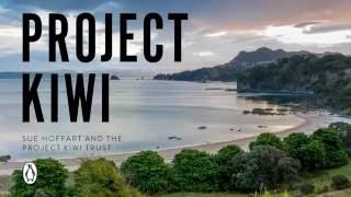 A look at Project Kiwi