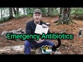 Emergency PREPAREDNESS Antibiotics - SURVIVAL Lessons - Keep You and Your Family Safe #Shorts