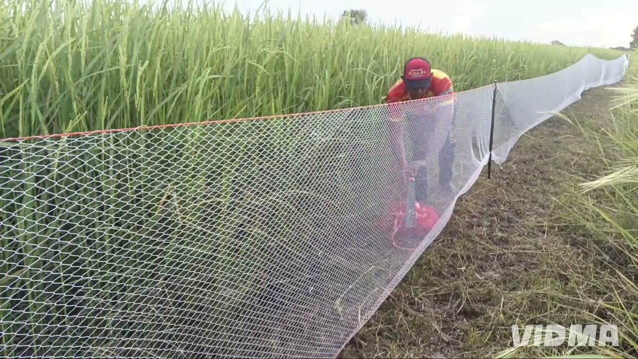 มาลองลมแรงๆหนาวมาแล้ว(ลงตาข่ายปลากระโดด)มาลุ้นติดตามกันครับสิหมานคือเก่าสิแซน้ำบคือเก่าบ่ละครับEp546