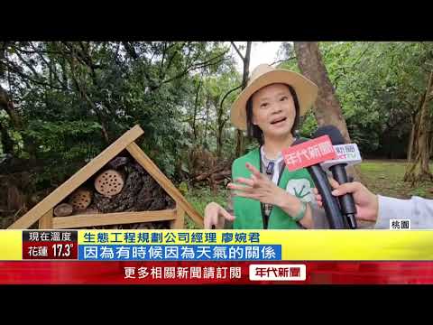 「昆蟲旅館+螢火蟲」吸睛　山豬湖生態園區物種驚豔