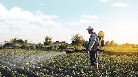 PENGOLAHAN CITRA : INFORMASI WARNA, GEOMETRI, SEGMENTASI, DETEKSI TEPI CITRA GAMBAR DENGAN PYTHON