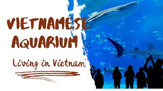 Discovering Vietnamese Largest Aquarium | Under water experience | An Exclusive Tour