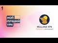 Mullvad - мой любимый VPN #vpn #mullvad #безопасность #анонимность #крипта #шифрование image