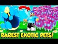 I Hatched THE RAREST NEW EXOTIC PETS In Tapping Legends X! (Roblox)