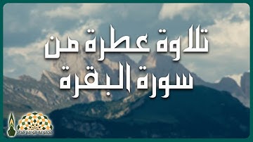 تلاوة عطرة من سورة البقرة للقارئ الشيخ عبدالله بن أحمد باعفيف