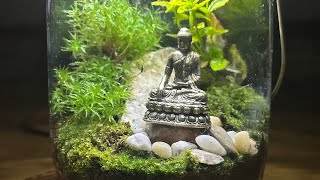 Terrarium mit moos #terarium #mini #garten #minigarden #moosewala #wald #inspiration #ideen