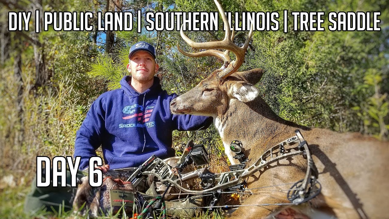 DIY Public Land Bow hunt with my Tree Saddle in Illinois Day 6 YouTube