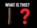 The Ishango Bone: A 20,000-Year-Old Math Mystery