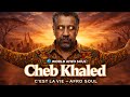 Cheb Khaled C Est La Vie Afro Soul Cover TikTok Viral Version 