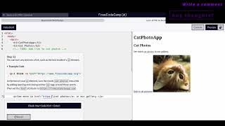 Responsive Web Design -  Cat Photo App   10,11,12 screenshot 1