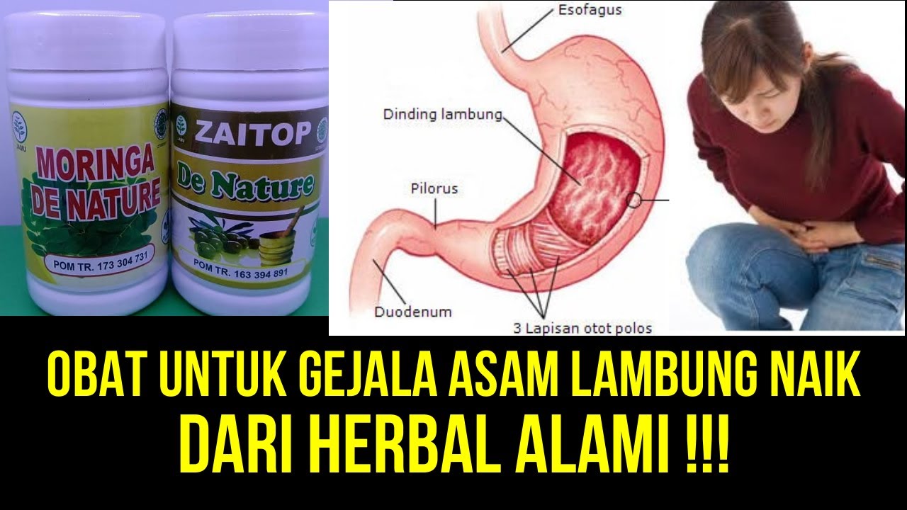 APA OBAT UNTUK GEJALA ASAM LAMBUNG NAIK ???