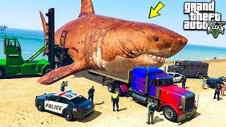 GTA 5 Quân Đội Vận Chuyển Cá Mập Chúa Megalodon Bằng Thùng Container Đi Về Con Đập Để Thí Nghiệm ! screenshot 5