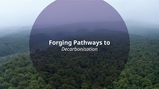 Forging Pathways to Decarbonisation Wealth