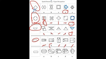 NVR spatial reasoning 11+