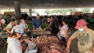 Going to Stockton CA, Farmers Market