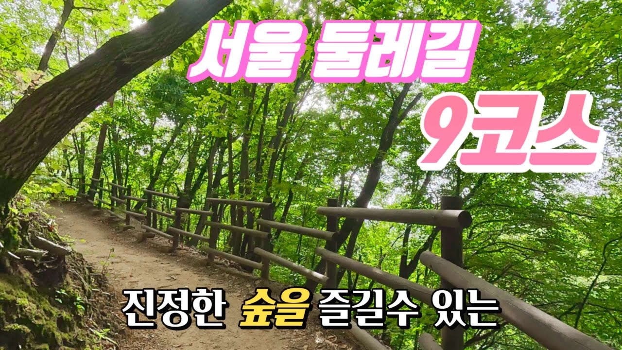 서울둘레길 9코스 10.7km 나 혼자 걸어보기 / 수서역에서 매헌시민의숲까지 / 대모.구룡산코스