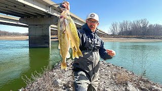 The Best Highway Bridge Fishing Is In FEBRUARY?!? (Absolutely Wild)