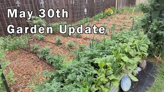 May 30th Garden and Gopher Update and Lots of Thriving Plants!