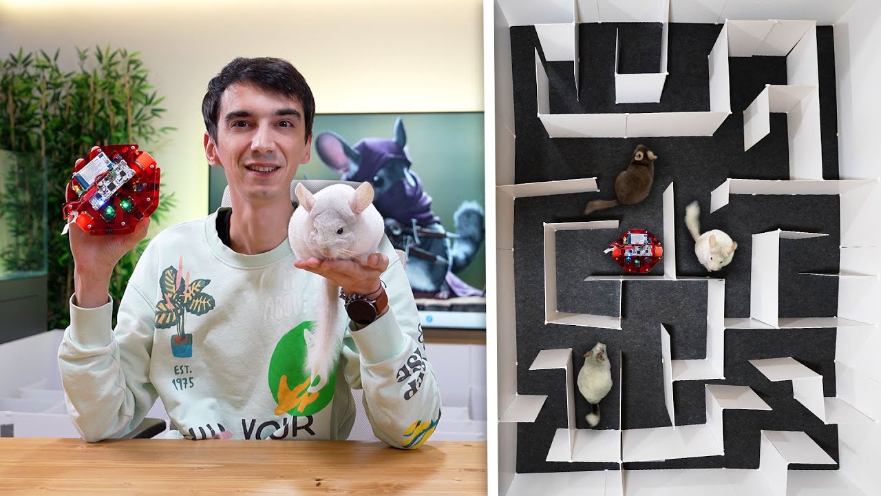 Dev Labirentte Robot Fare ve Evcil Hayvanlarım Yarışıyor!