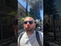 Marco Cannata - A tutela degli amici.I meme beoti lasciamoli da parte. (01.05.26)