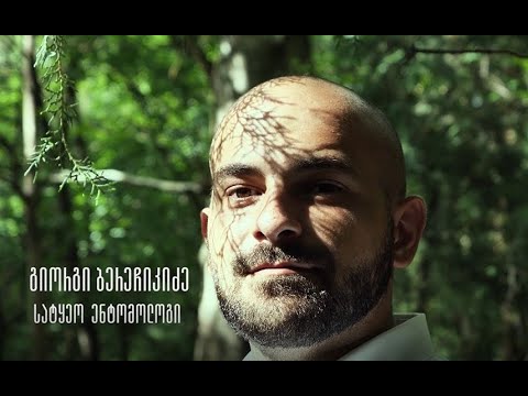 ტყეში | გიორგი ბერეჩიკიძე