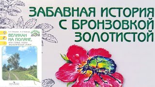 Забавная история с бронзовкой золотистой. Великан на поляне