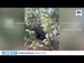 രണ്ട് സെക്കൻഡ് വ്യത്യാസം; തൃശൂരിൽ സ്കൂൾ വാഹനം രക്ഷപ്പെട്ടത് അദ്ഭുതകരമായി #Thrissur