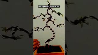 Un Mai Bonsai T Nh