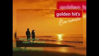 sampai jumpa lagi || evie tamala || golden hit's || music original ||❤❤❤