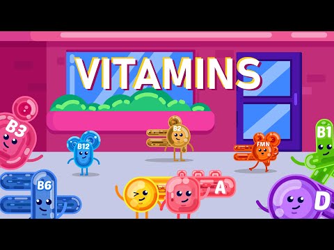 What are Vitamins?