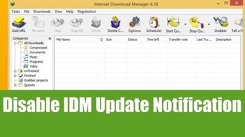 Easily Disable IDM Update Checking/Notification
