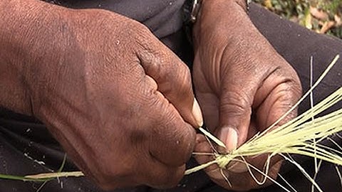 Gullah Geechee Series Part 1: Basket Weaving | GPB News