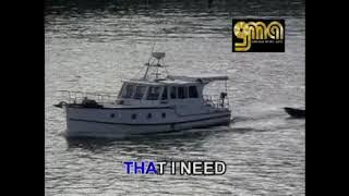 Mega Hits Golden Love Songs (Volume 2) (2003 VCD Karaoke) [Full Album]