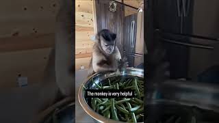 Ada Payapulla Support My Chennal