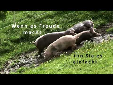 Sinnspruch des Lebens
