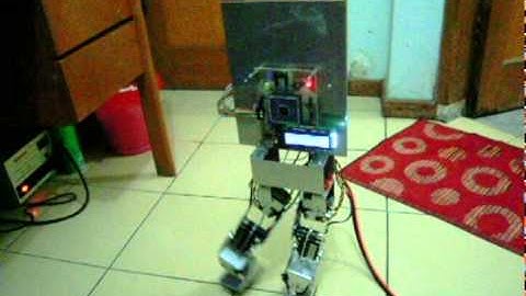 ArtRo - Omnidirectionally Walking Bipedal Robot