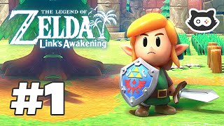 The Legend of Zelda: Links Awakening - Gameplay Walkthrough (PART 1: TAIL CAVE)