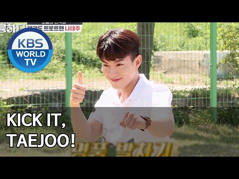 Kick it, <strong>Taejoo</strong>! [Dogs are incredible/ENG/2020.07.15]