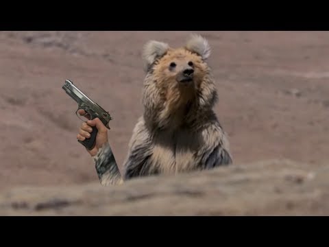 видео: Не трогай медвежий снюс