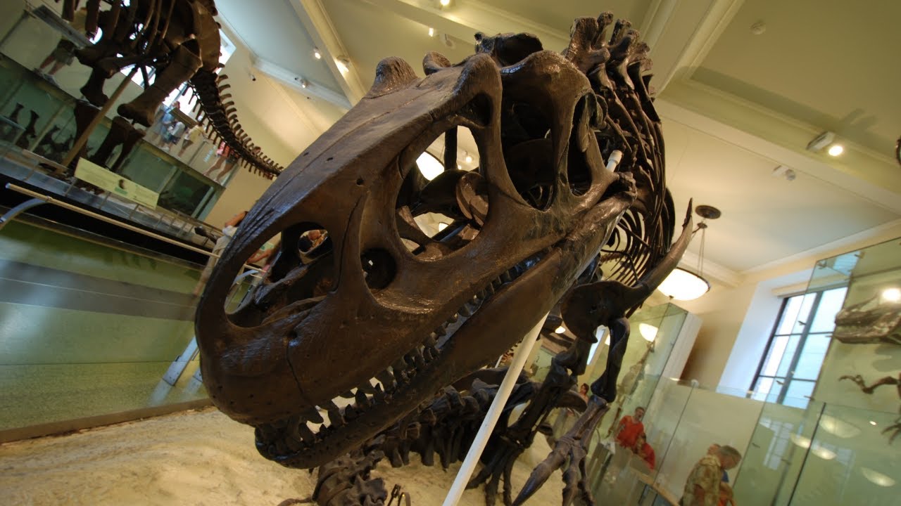 Shri Krishna Science Centre Patna Patna Science Museum Patna